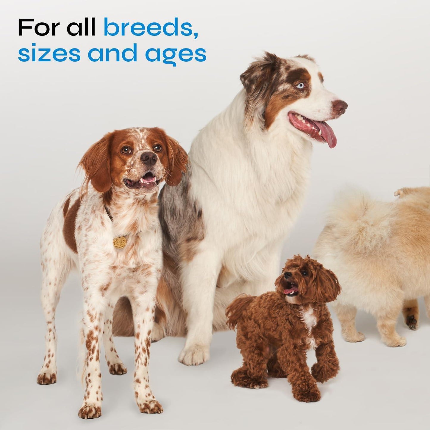 Probiotics for Dogs   Dog Probiotic Chews for Digestive and Gut Health Dental Immune System Support   Chewable Prebiotic Soft Treats   Wild Yam Yeast Powder   Diarrhea and Bowel Support Supplement