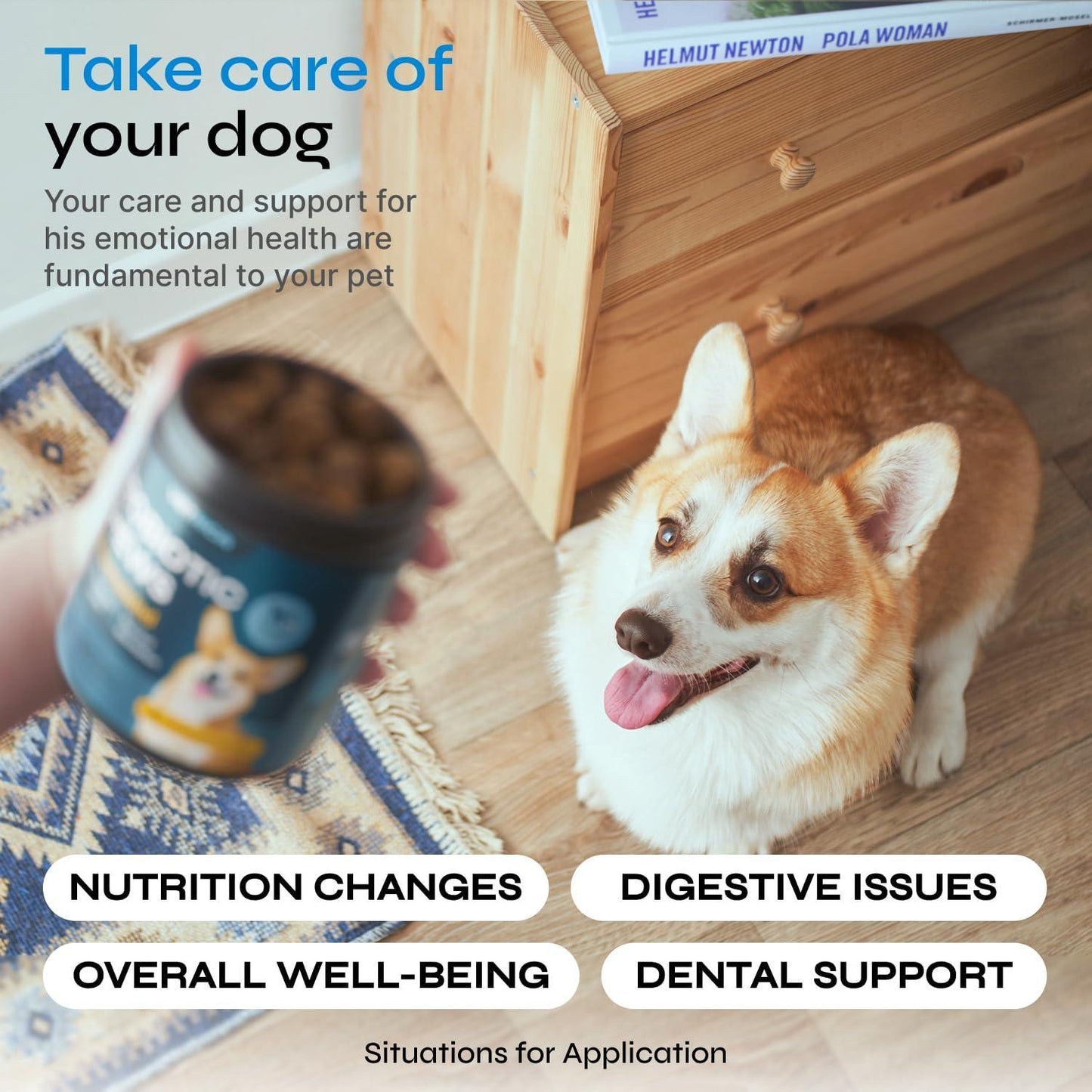 Probiotics for Dogs   Dog Probiotic Chews for Digestive and Gut Health Dental Immune System Support   Chewable Prebiotic Soft Treats   Wild Yam Yeast Powder   Diarrhea and Bowel Support Supplement