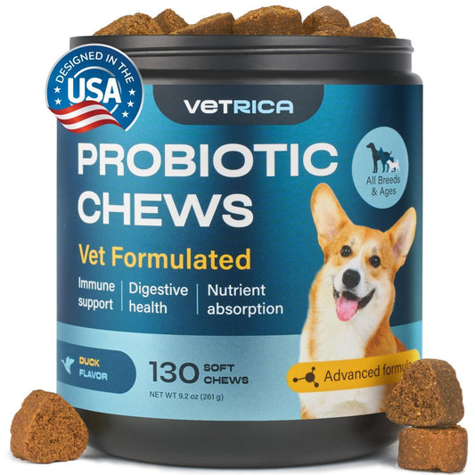 Probiotics for Dogs   Dog Probiotic Chews for Digestive and Gut Health Dental Immune System Support   Chewable Prebiotic Soft Treats   Wild Yam Yeast Powder   Diarrhea and Bowel Support Supplement