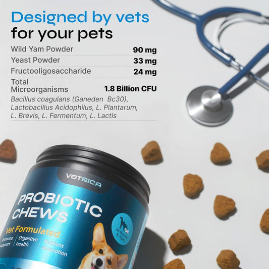 Probiotics for Dogs   Dog Probiotic Chews for Digestive and Gut Health Dental Immune System Support   Chewable Prebiotic Soft Treats   Wild Yam Yeast Powder   Diarrhea and Bowel Support Supplement